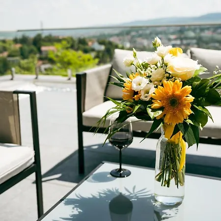 Evo Panoramic 公寓 克卢日-纳波卡