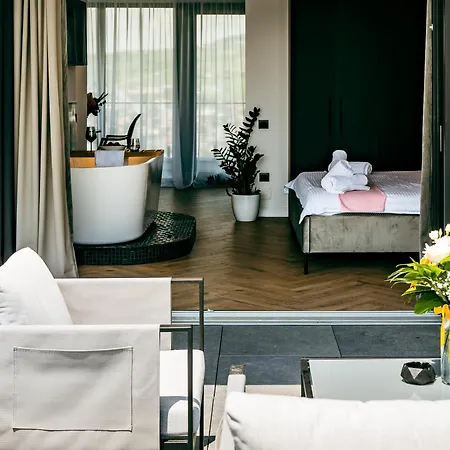 Evo Panoramic 公寓 克卢日-纳波卡